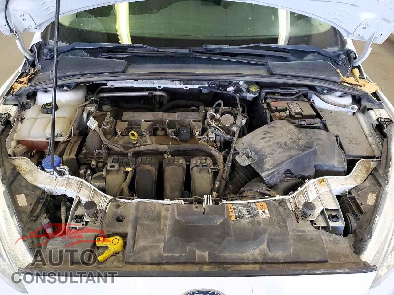 FORD FOCUS 2016 - 1FADP3F29GL330659
