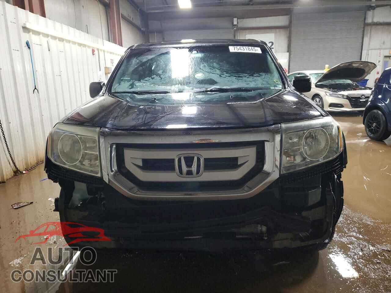 HONDA PILOT 2011 - 5FNYF4H21BB061442