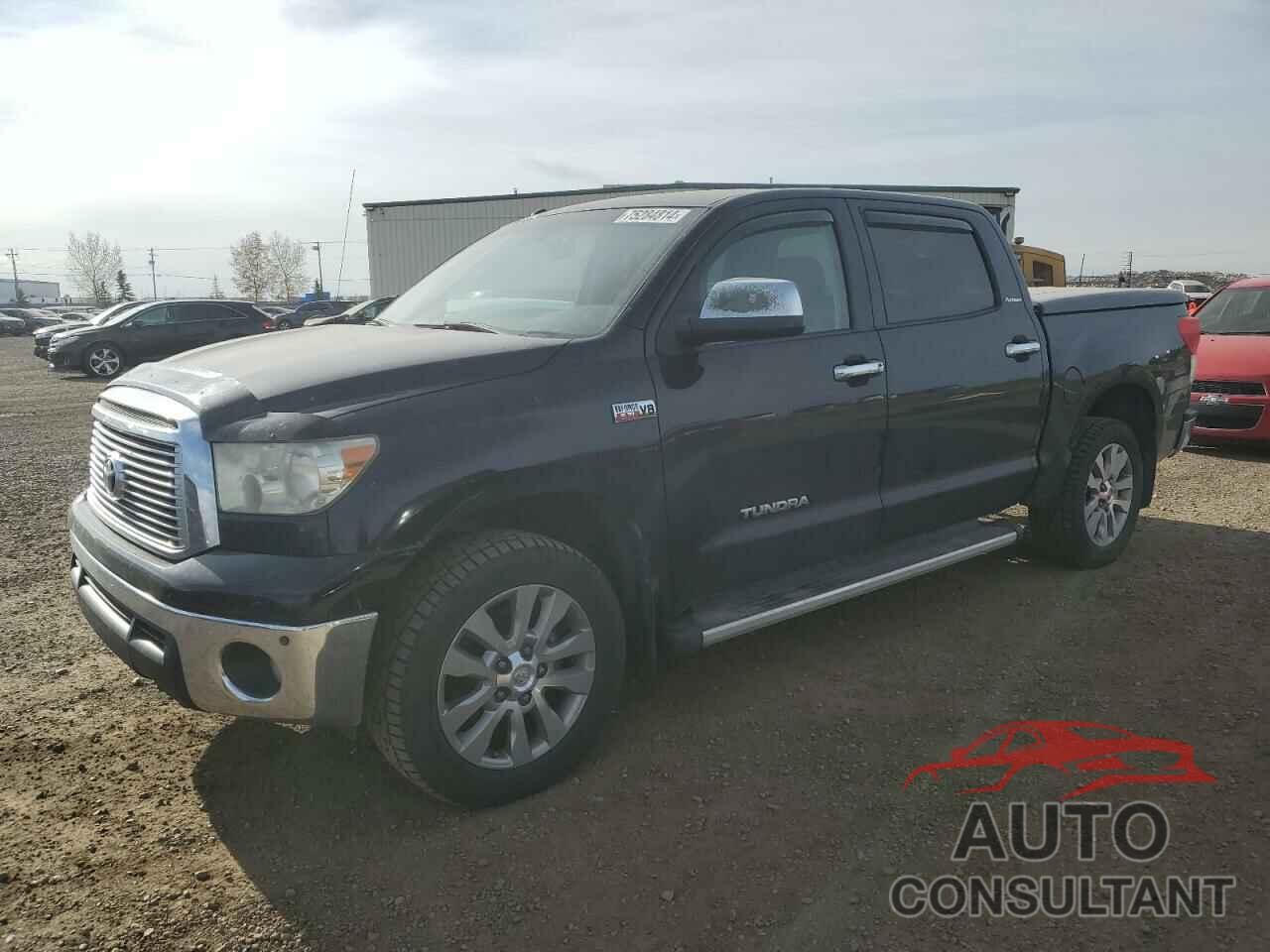 TOYOTA TUNDRA 2010 - 5TFHY5F1XAX123208