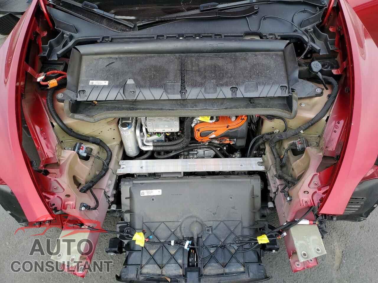 TESLA MODEL Y 2024 - 7SAYGDEE3RF069650