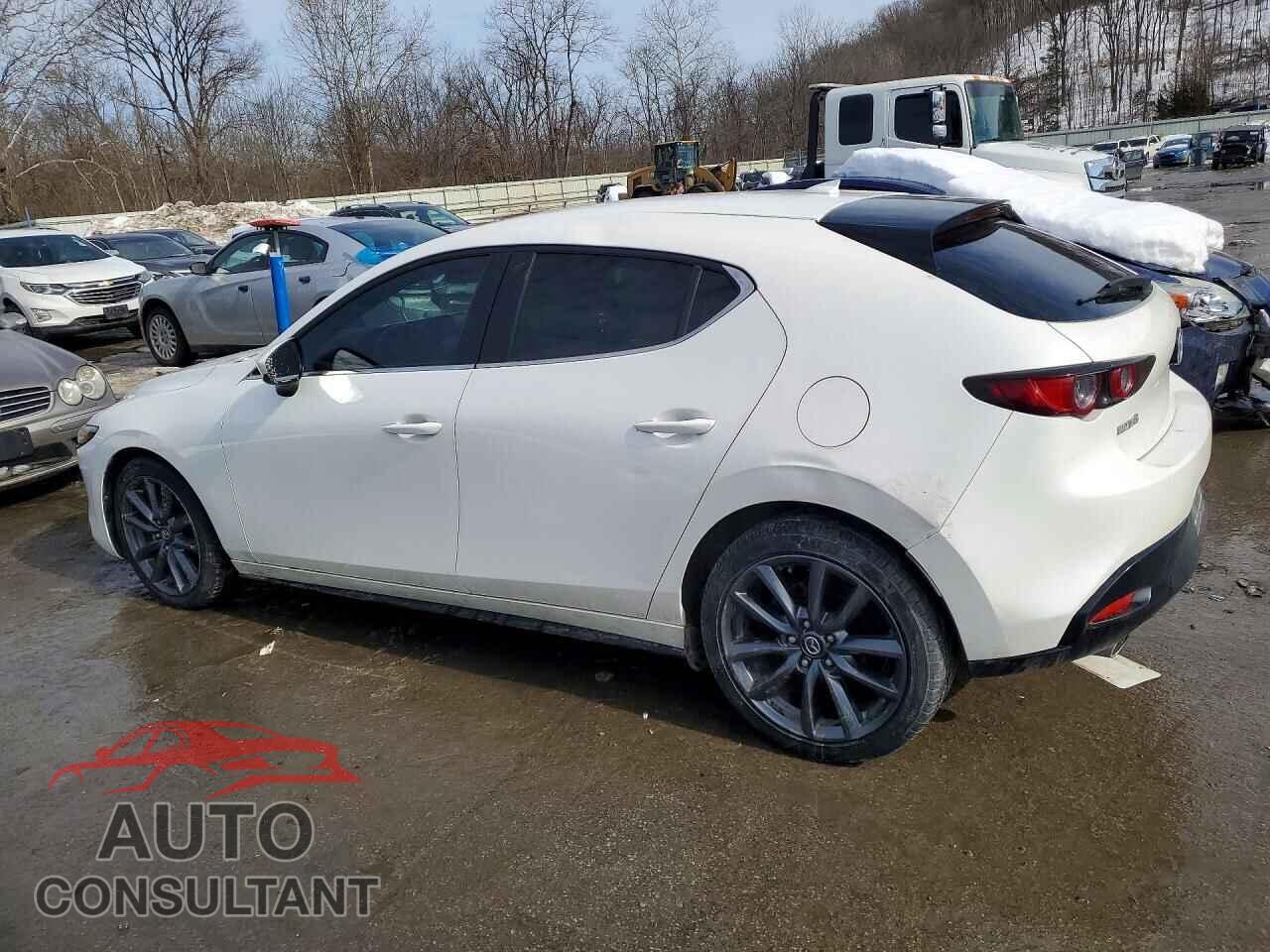 MAZDA 3 2019 - JM1BPALM7K1108797