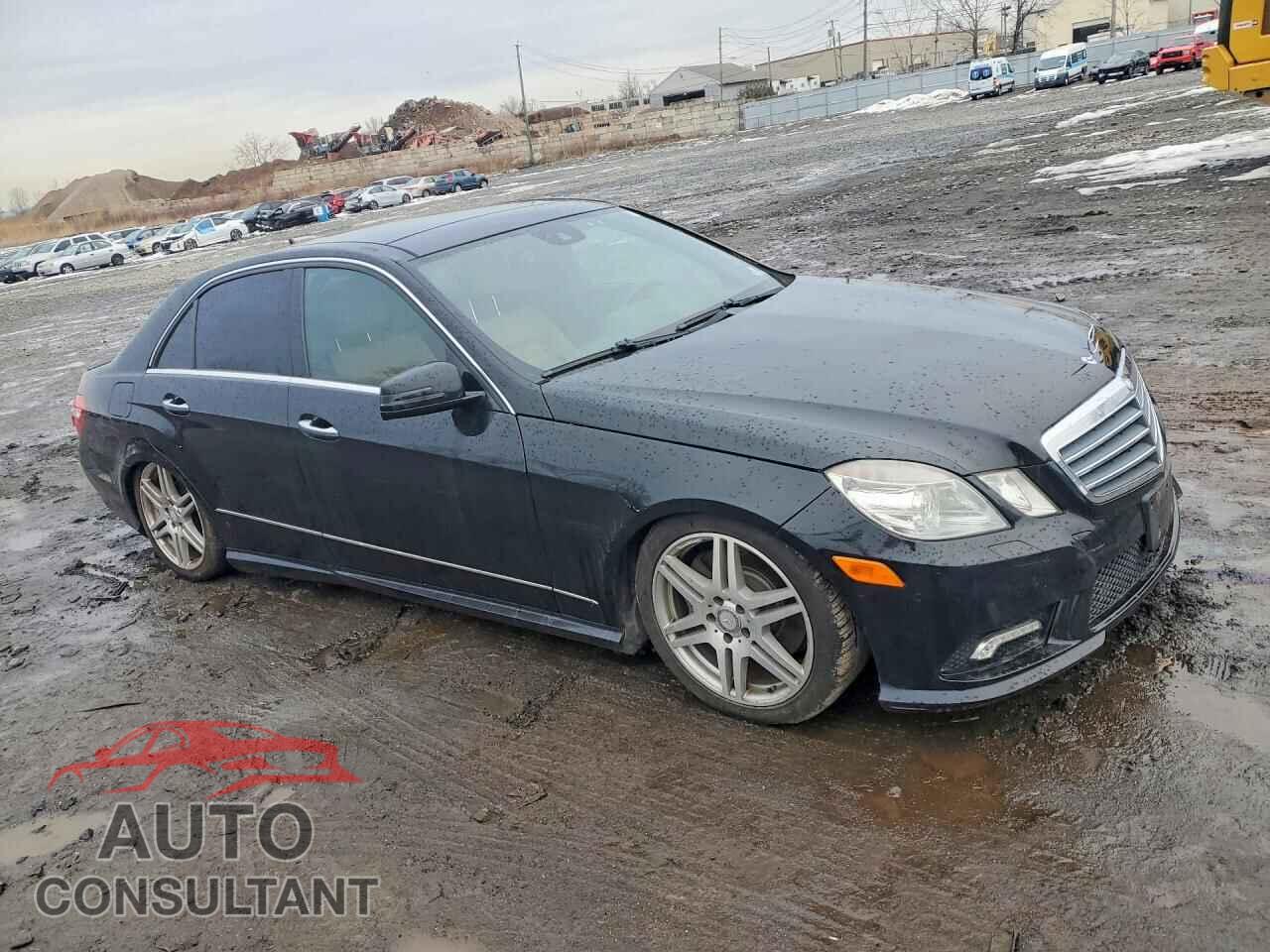 MERCEDES-BENZ E-CLASS 2010 - WDDHF9AB4AA128166