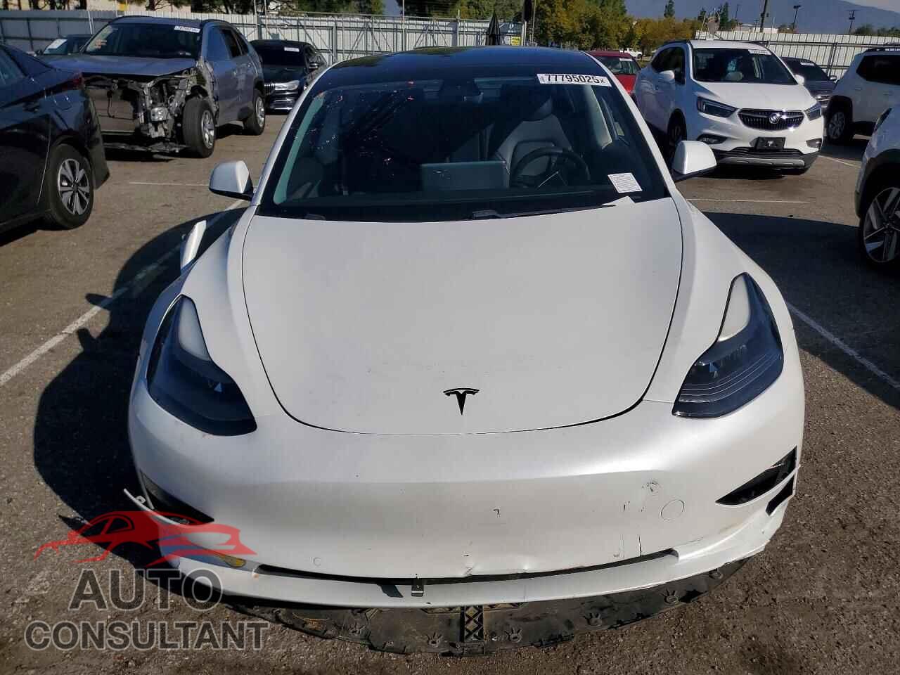 TESLA MODEL 3 2021 - 5YJ3E1EA6MF069398