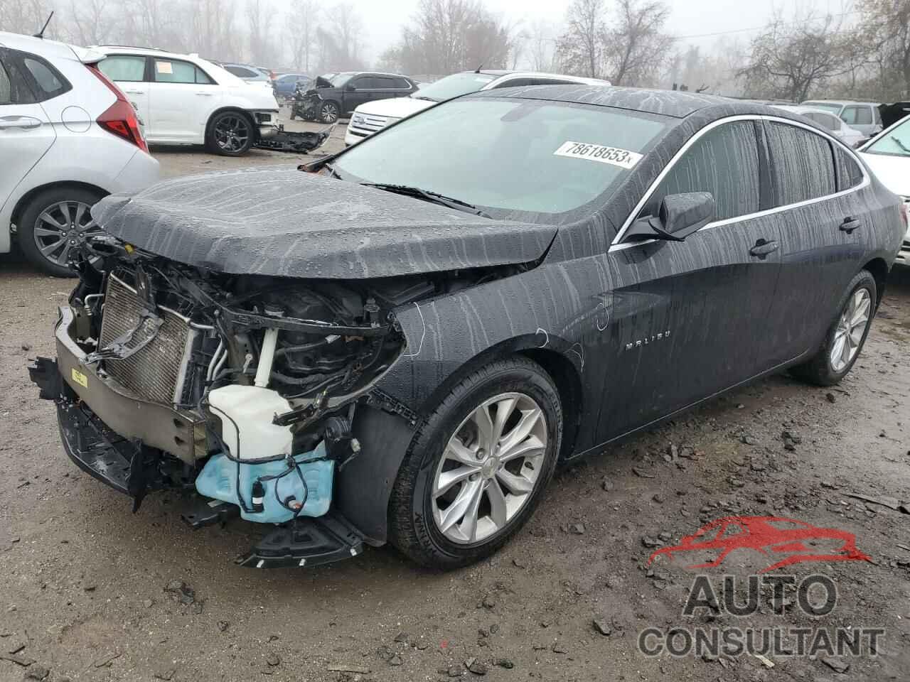 CHEVROLET MALIBU 2019 - 1G1ZD5STXKF163263