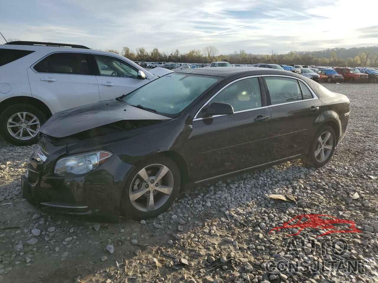 CHEVROLET MALIBU 2011 - 1G1ZC5E19BF187678