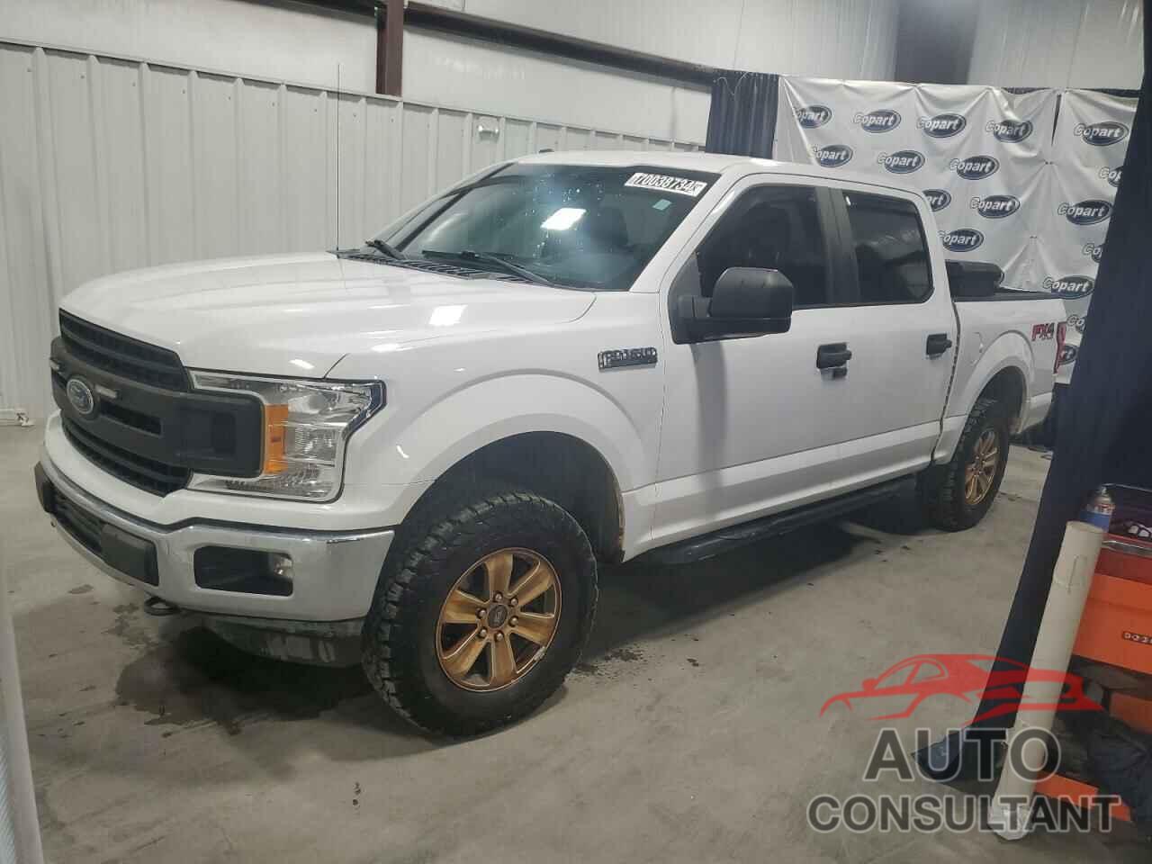 FORD F-150 2019 - 1FTEW1E56KKE52475