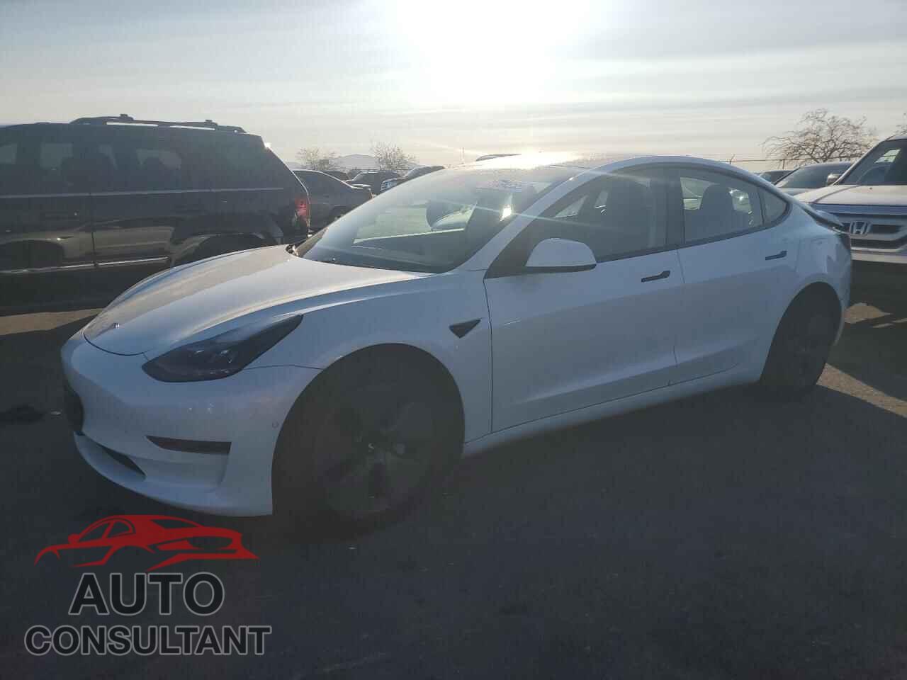 TESLA MODEL 3 2021 - 5YJ3E1EA6MF997146