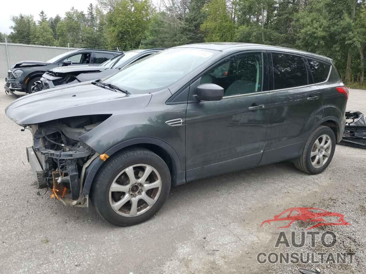 FORD ESCAPE 2016 - 1FMCU9GX8GUB41891