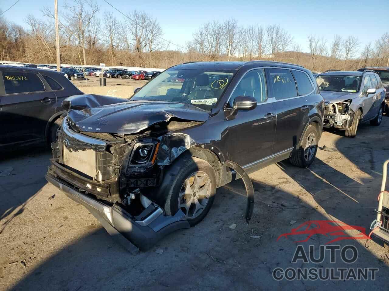 KIA TELLURIDE 2020 - 5XYP3DHC3LG009205