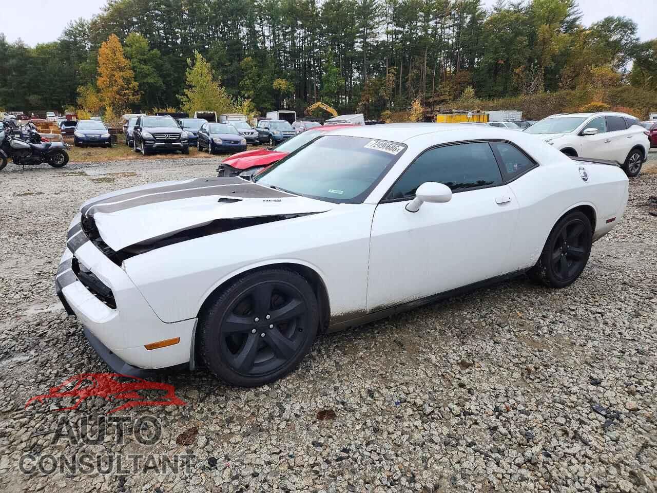 DODGE CHALLENGER 2012 - 2C3CDYBT5CH254282