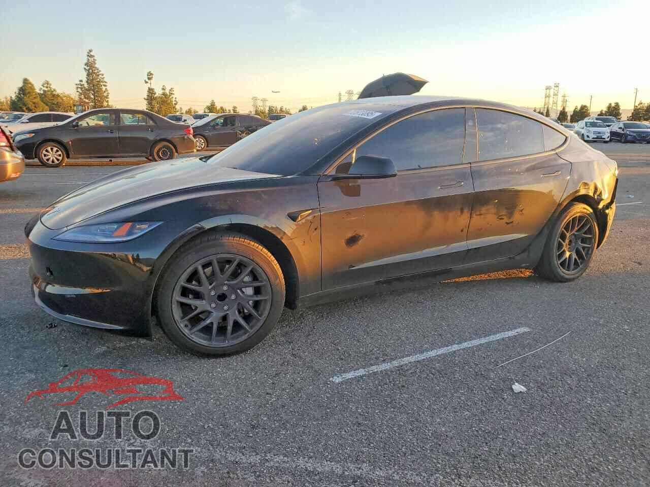 TESLA MODEL 3 2025 - 5YJ3E1EA5SF058647