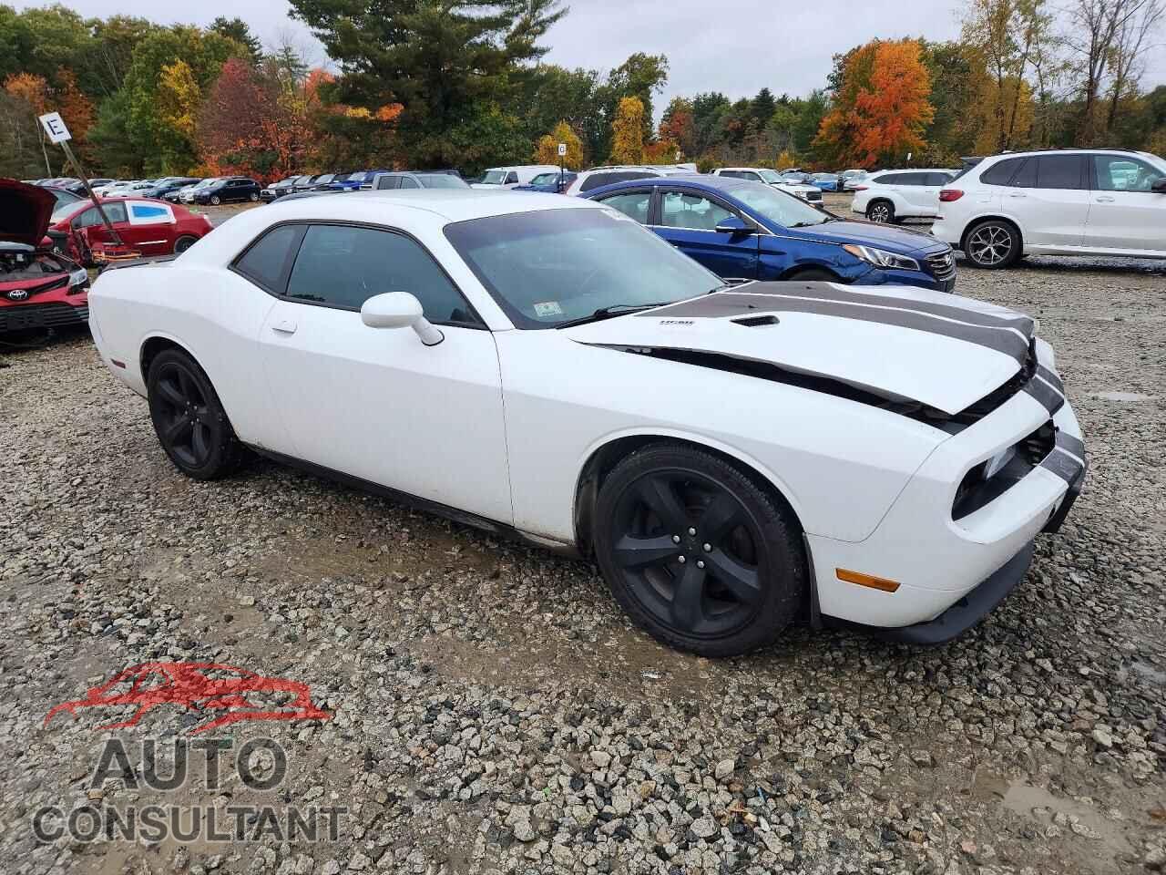 DODGE CHALLENGER 2012 - 2C3CDYBT5CH254282