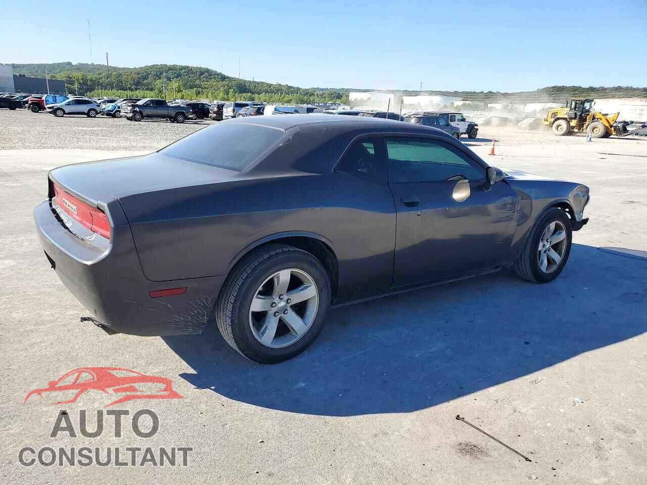 DODGE CHALLENGER 2013 - 2C3CDYAG0DH662985