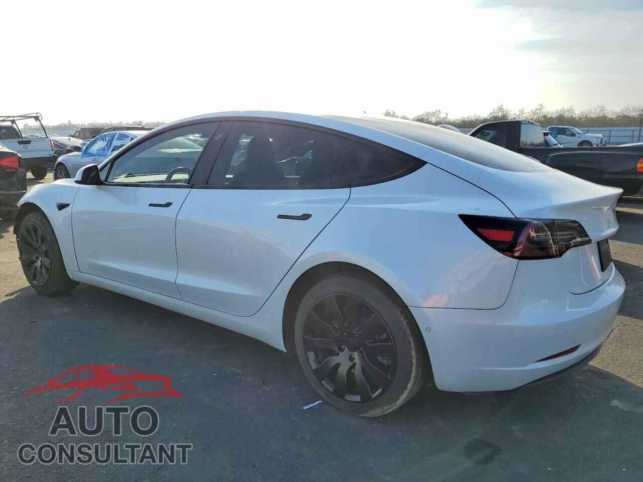 TESLA MODEL 3 2019 - 5YJ3E1EA3KF309696