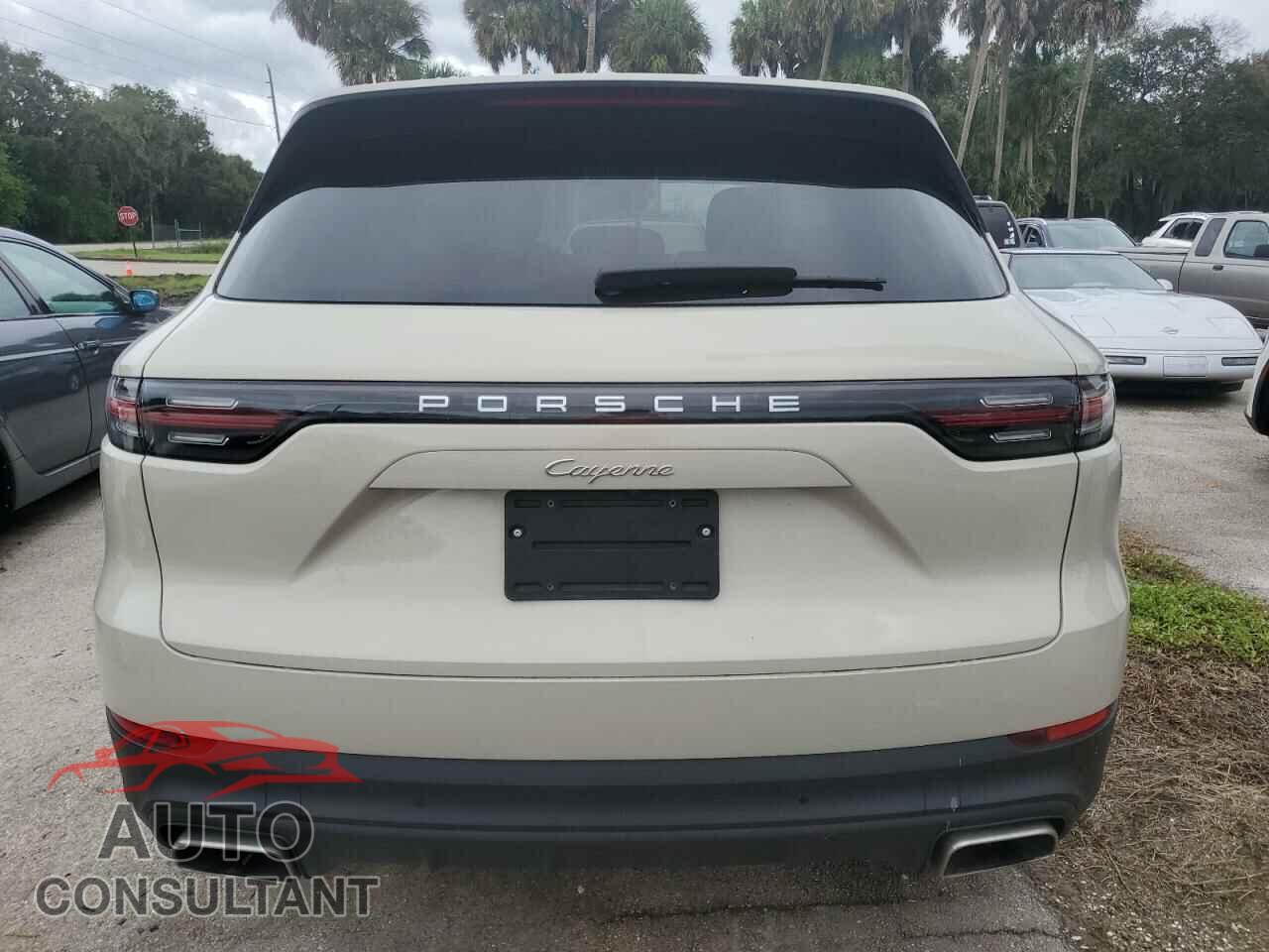 PORSCHE CAYENNE 2020 - WP1AA2AY7LDA08996