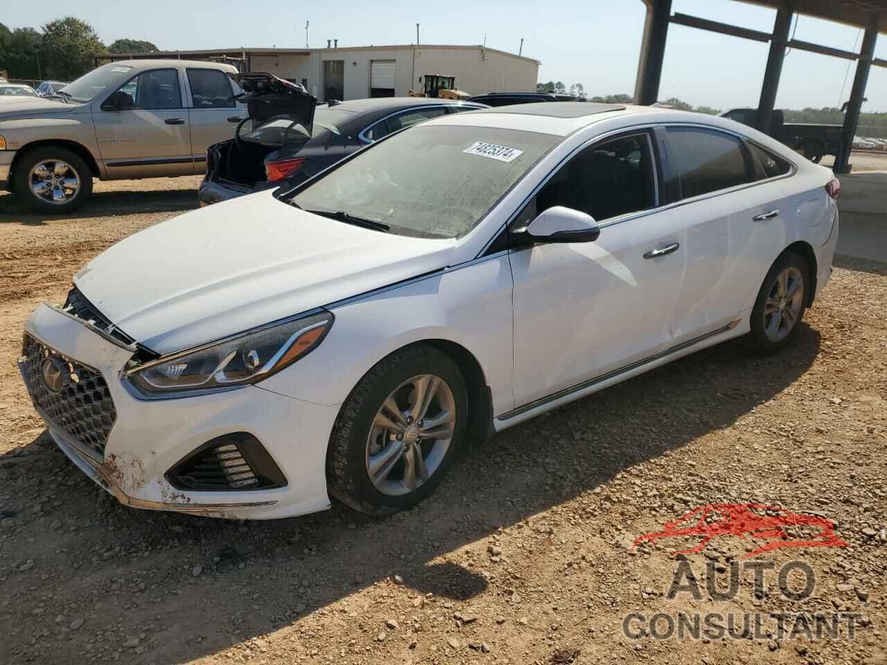 HYUNDAI SONATA 2019 - 5NPE34AF4KH760980