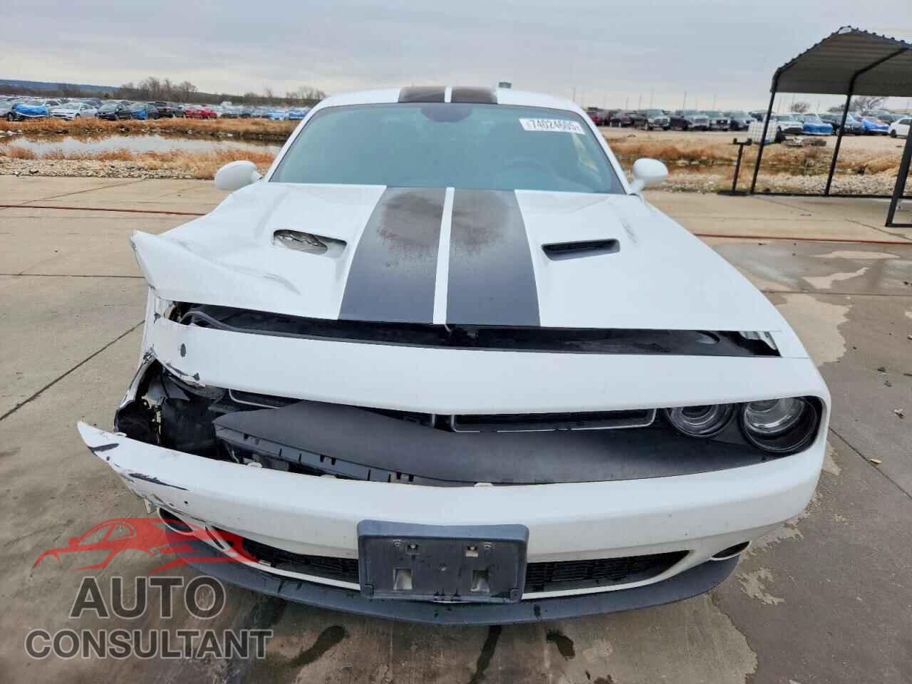 DODGE CHALLENGER 2019 - 2C3CDZAG7KH668656