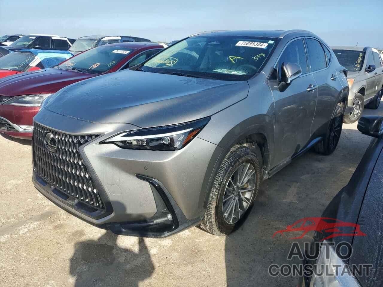 LEXUS NX 350 2023 - 2T2GGCEZ5PC023952