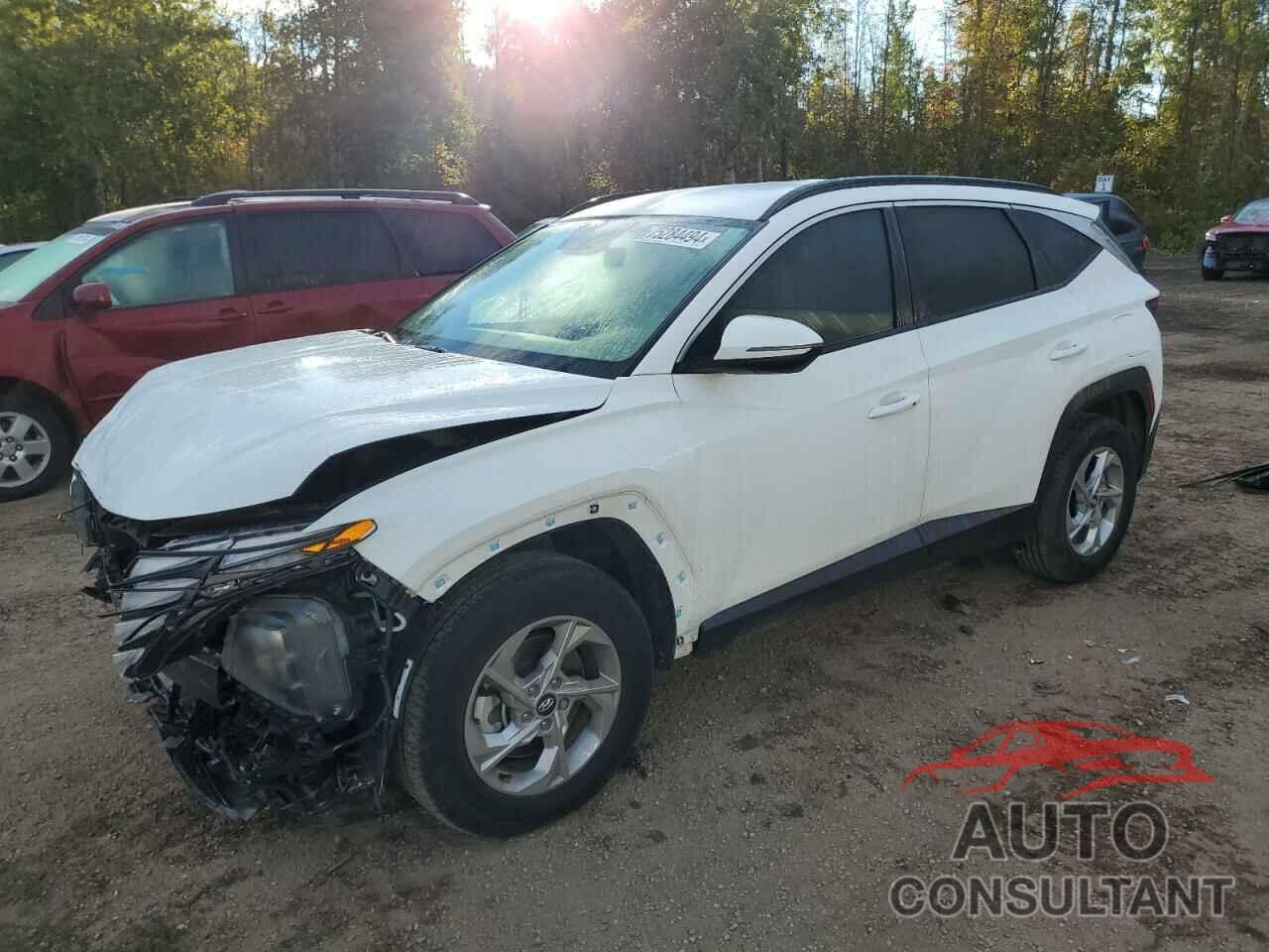 HYUNDAI TUCSON 2024 - KM8JBCDEXRU289203