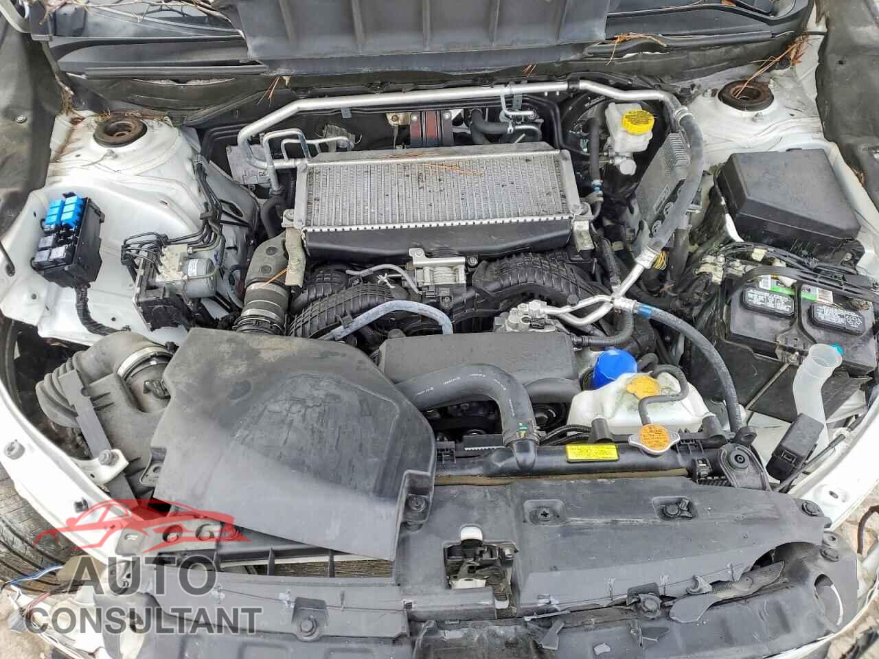 SUBARU ASCENT 2019 - 4S4WMAPD4K3467951