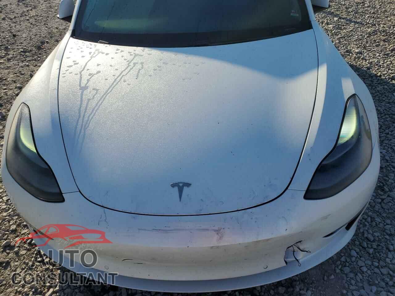 TESLA MODEL 3 2021 - 5YJ3E1EA3MF058679