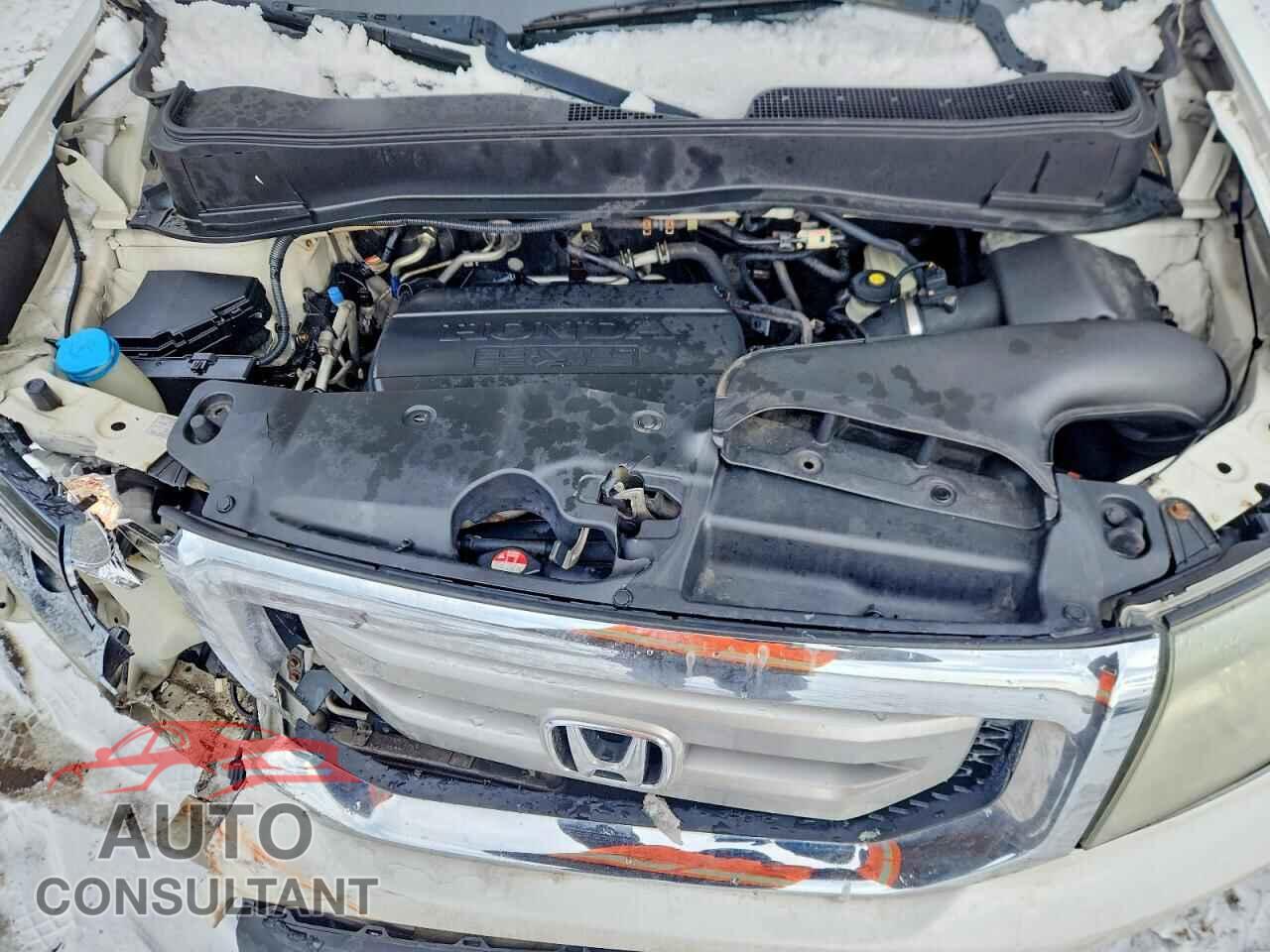 HONDA PILOT 2011 - 5FNYF4H64BB004803