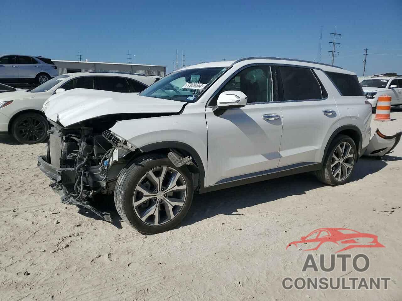 HYUNDAI PALISADE 2020 - KM8R34HE1LU094095