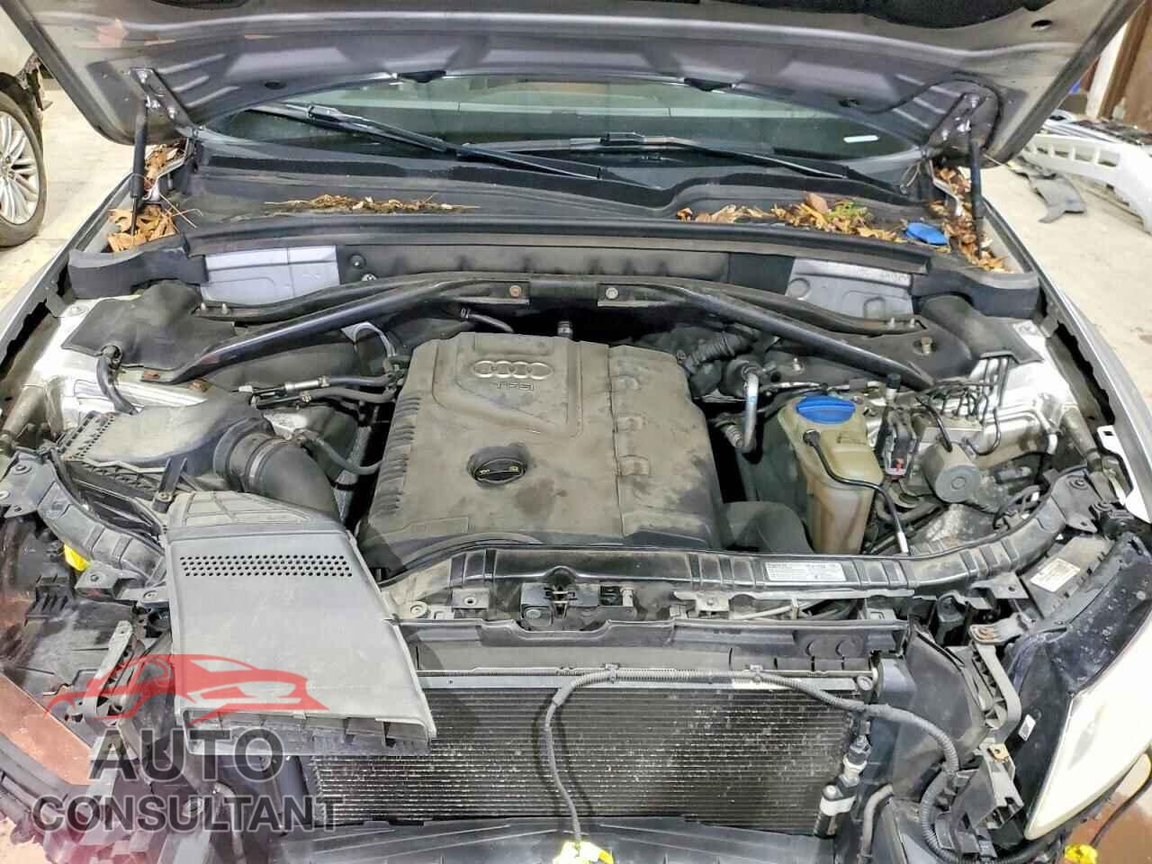 AUDI Q5 2013 - WA1CFAFP2DA026034