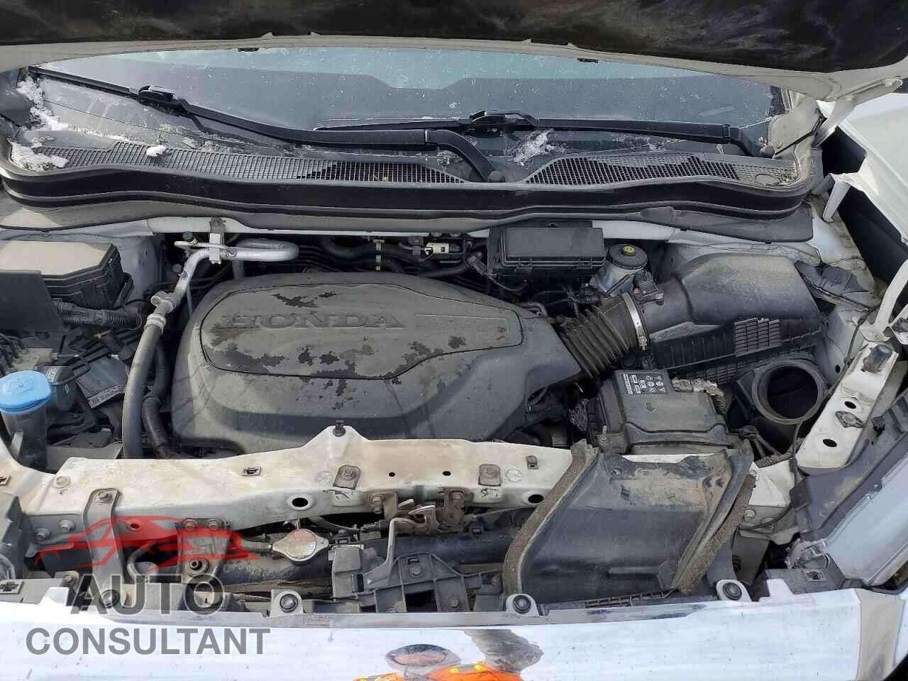 HONDA RIDGELINE 2021 - 5FPYK3F77MB008629