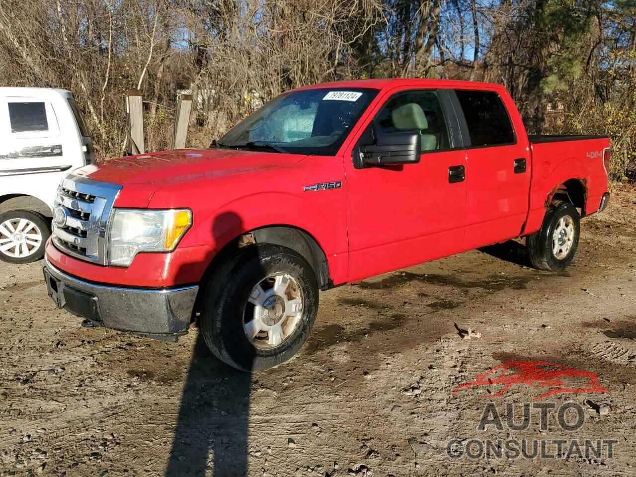 FORD F-150 2009 - 1FTPW14V89KC52184