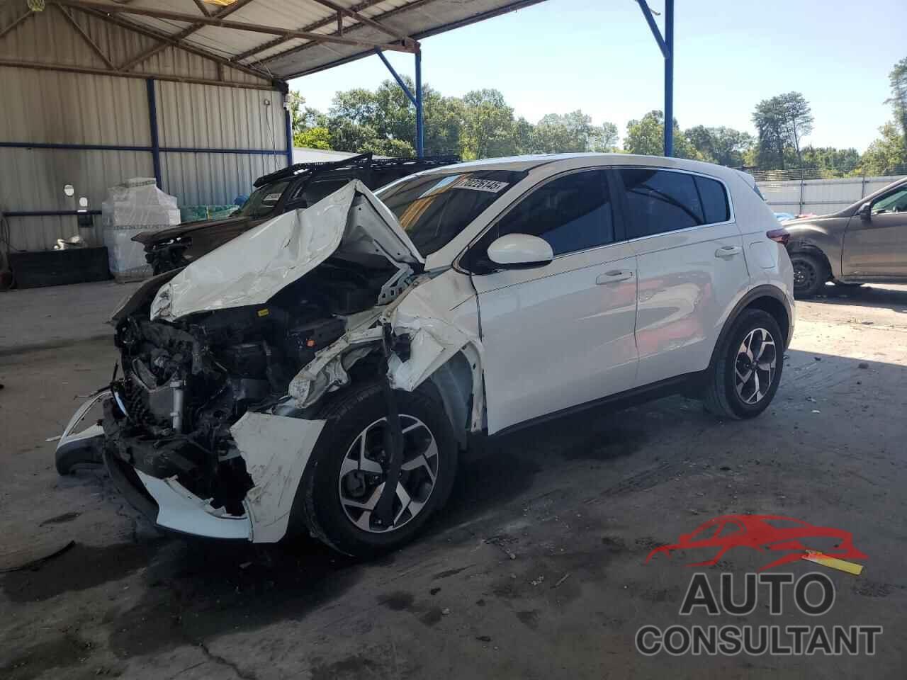 KIA SPORTAGE 2020 - KNDPM3AC9L7724231