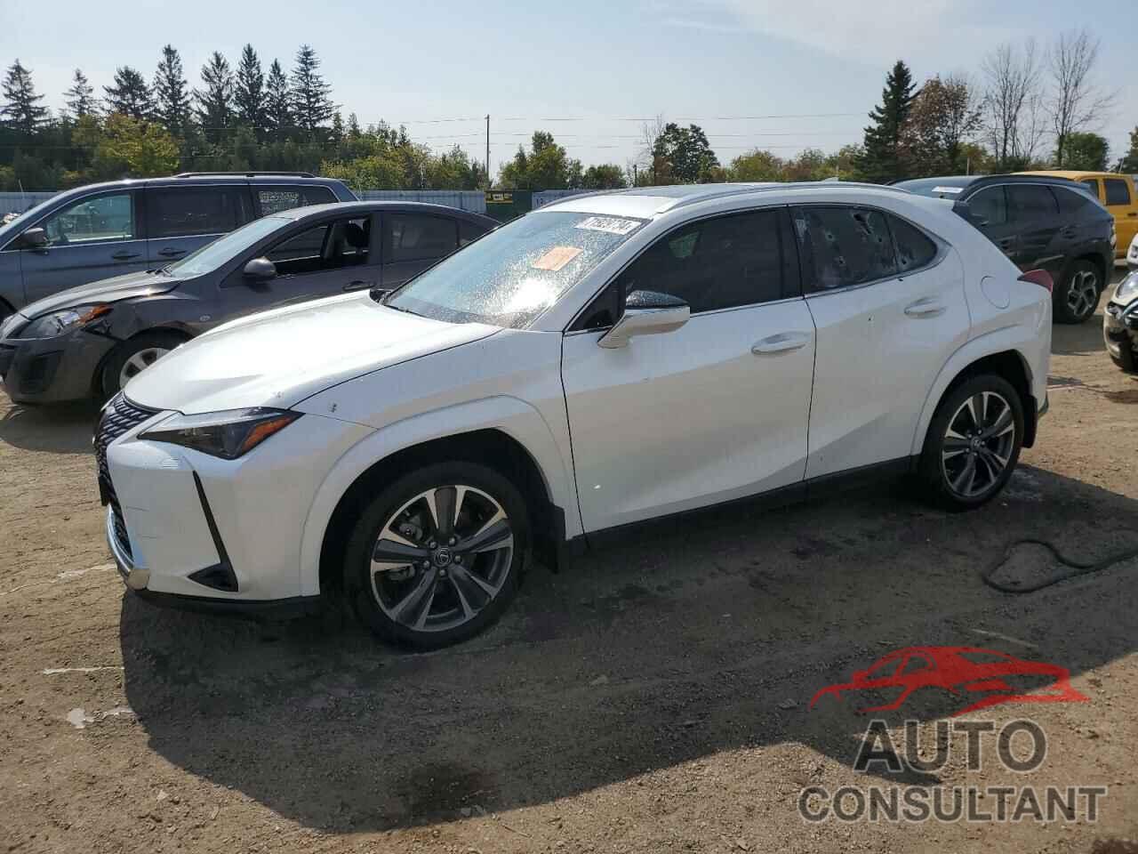 LEXUS UX 250H PR 2024 - JTHP9JBH4R2075099