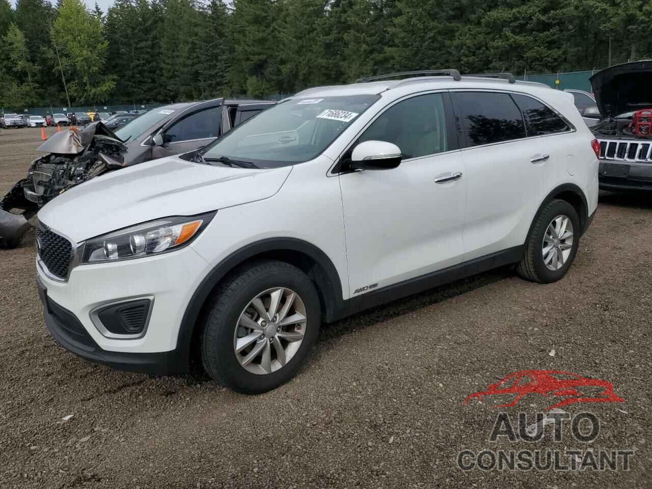 KIA SORENTO 2016 - 5XYPGDA56GG173991