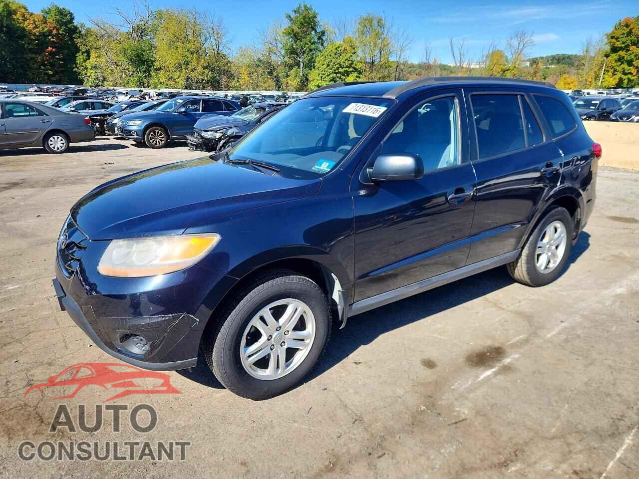 HYUNDAI SANTA FE 2010 - 5NMSGDAB3AH368542