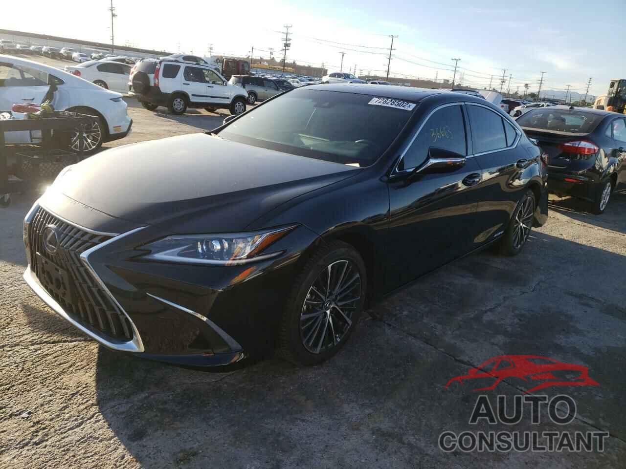 LEXUS ES300 2022 - 58ADA1C12NU013667