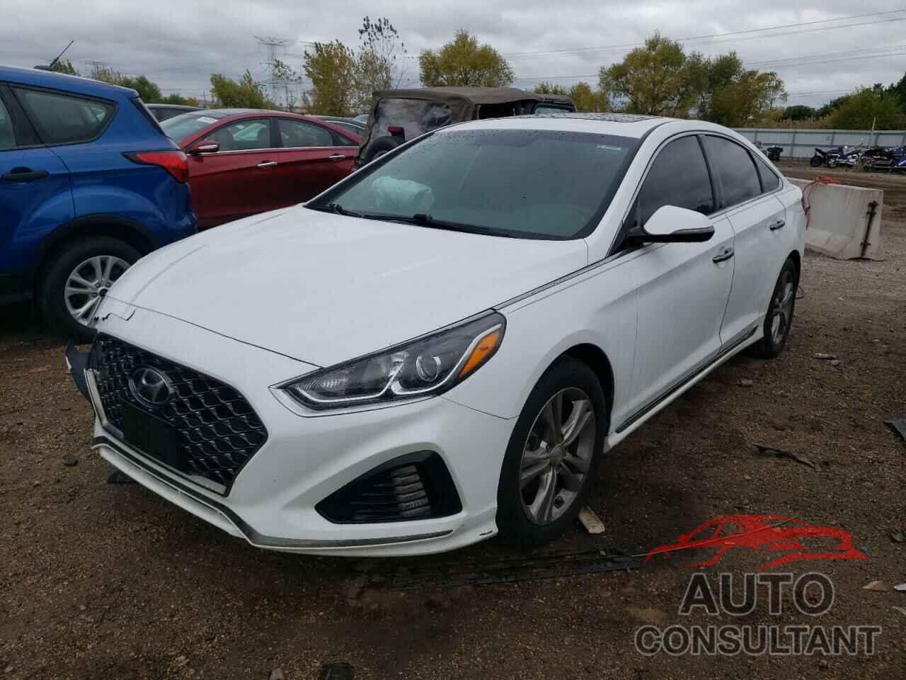 HYUNDAI SONATA 2018 - 5NPE34AF2JH699613