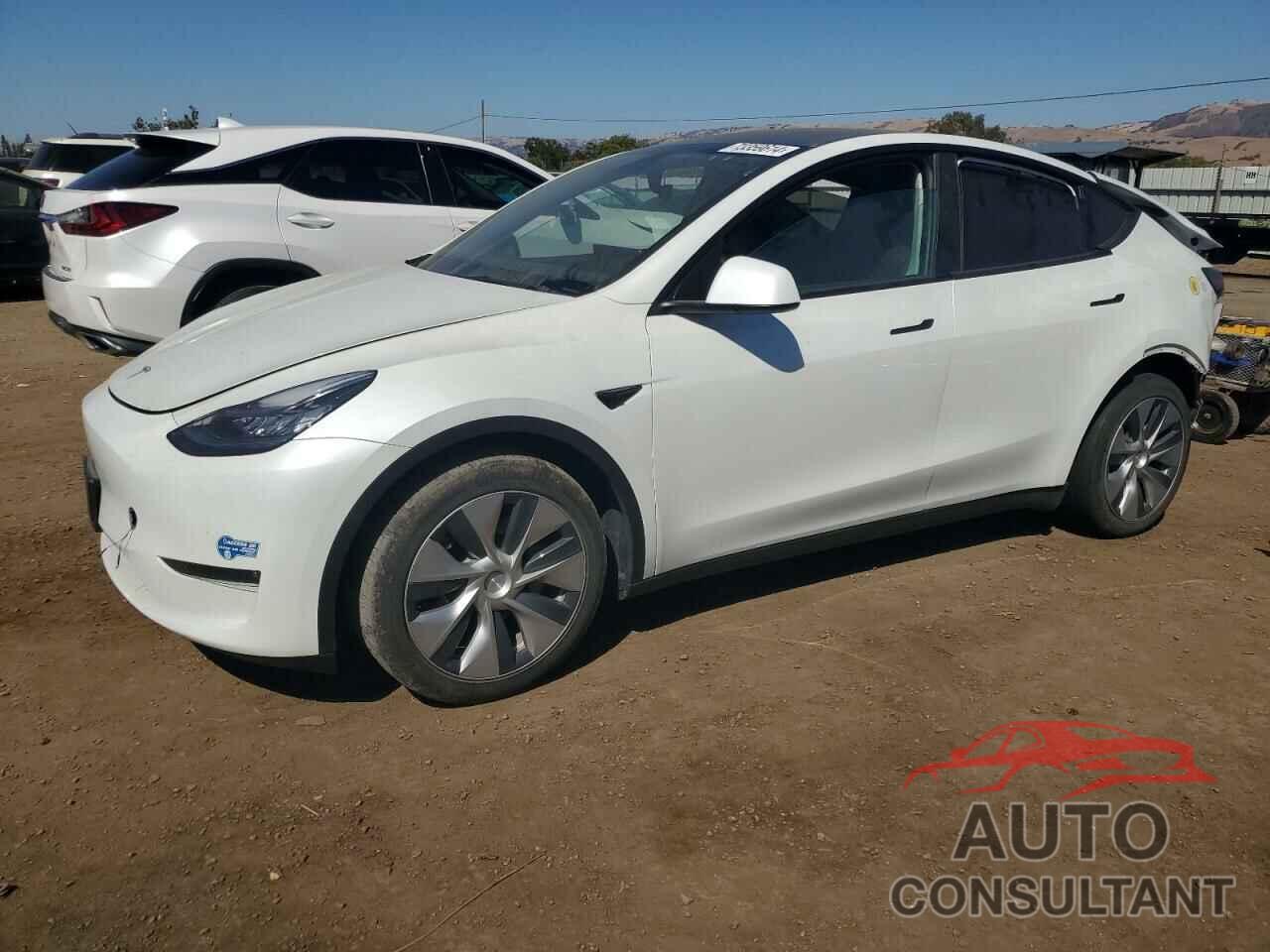 TESLA MODEL Y 2021 - 5YJYGDEE3MF086177