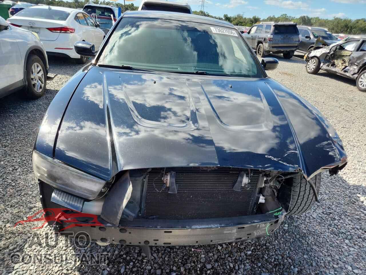 DODGE CHARGER 2014 - 2C3CDXCT3EH330450