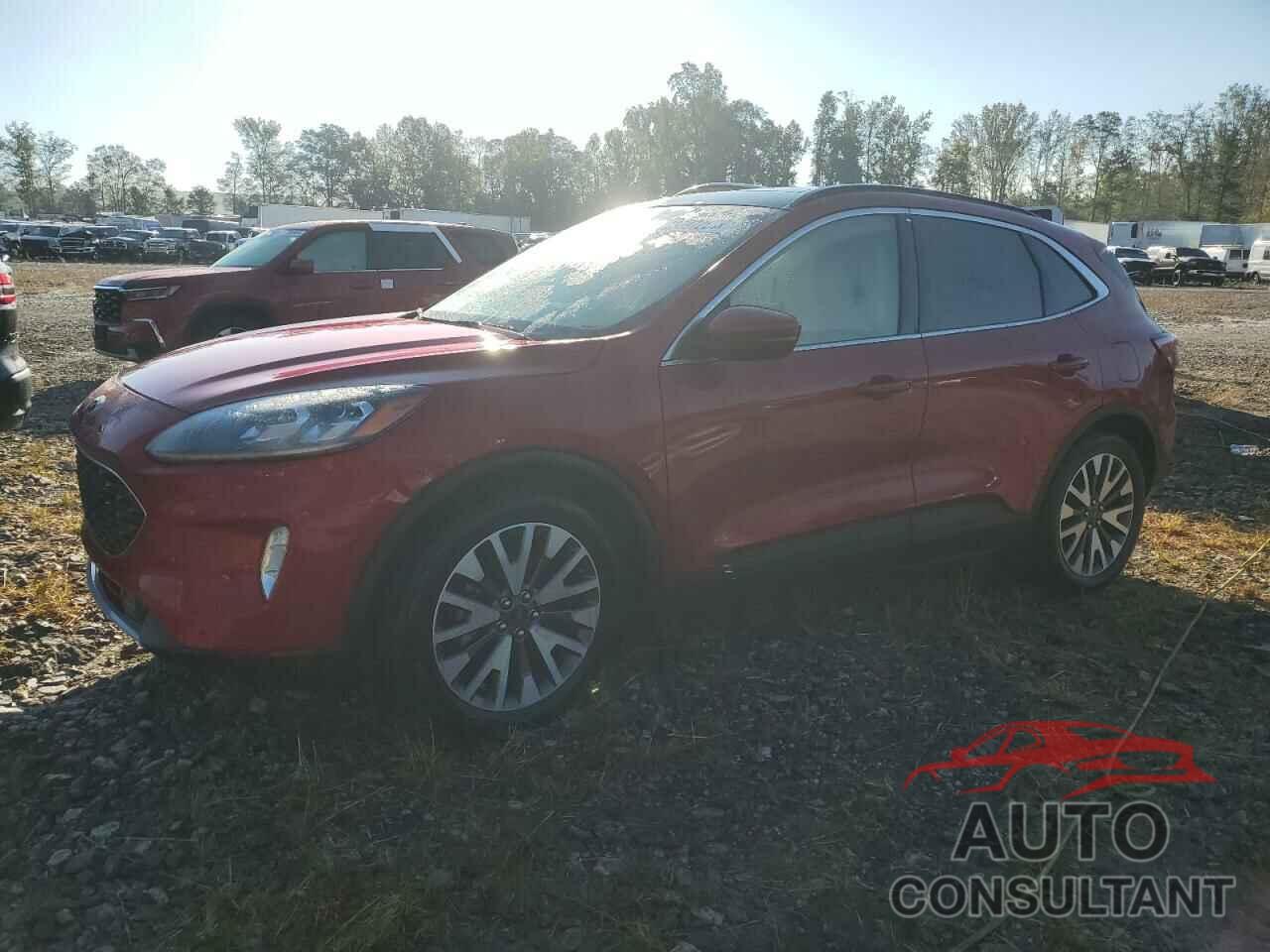 FORD ESCAPE 2020 - 1FMCU0DZ1LUA68942