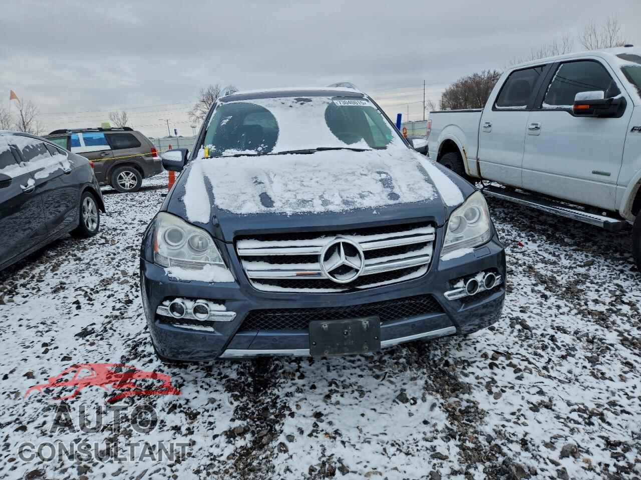 MERCEDES-BENZ GL-CLASS 2010 - 4JGBF7BE8AA609059