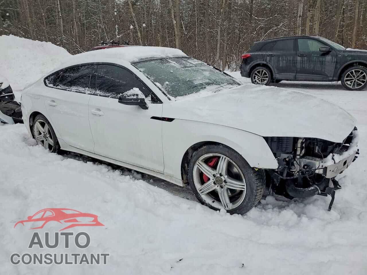 AUDI S5/RS5 2024 - WAUB4CF53RA085440