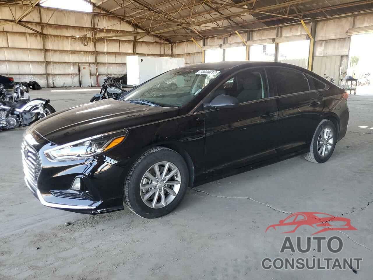 HYUNDAI SONATA 2019 - 5NPE24AF4KH740120