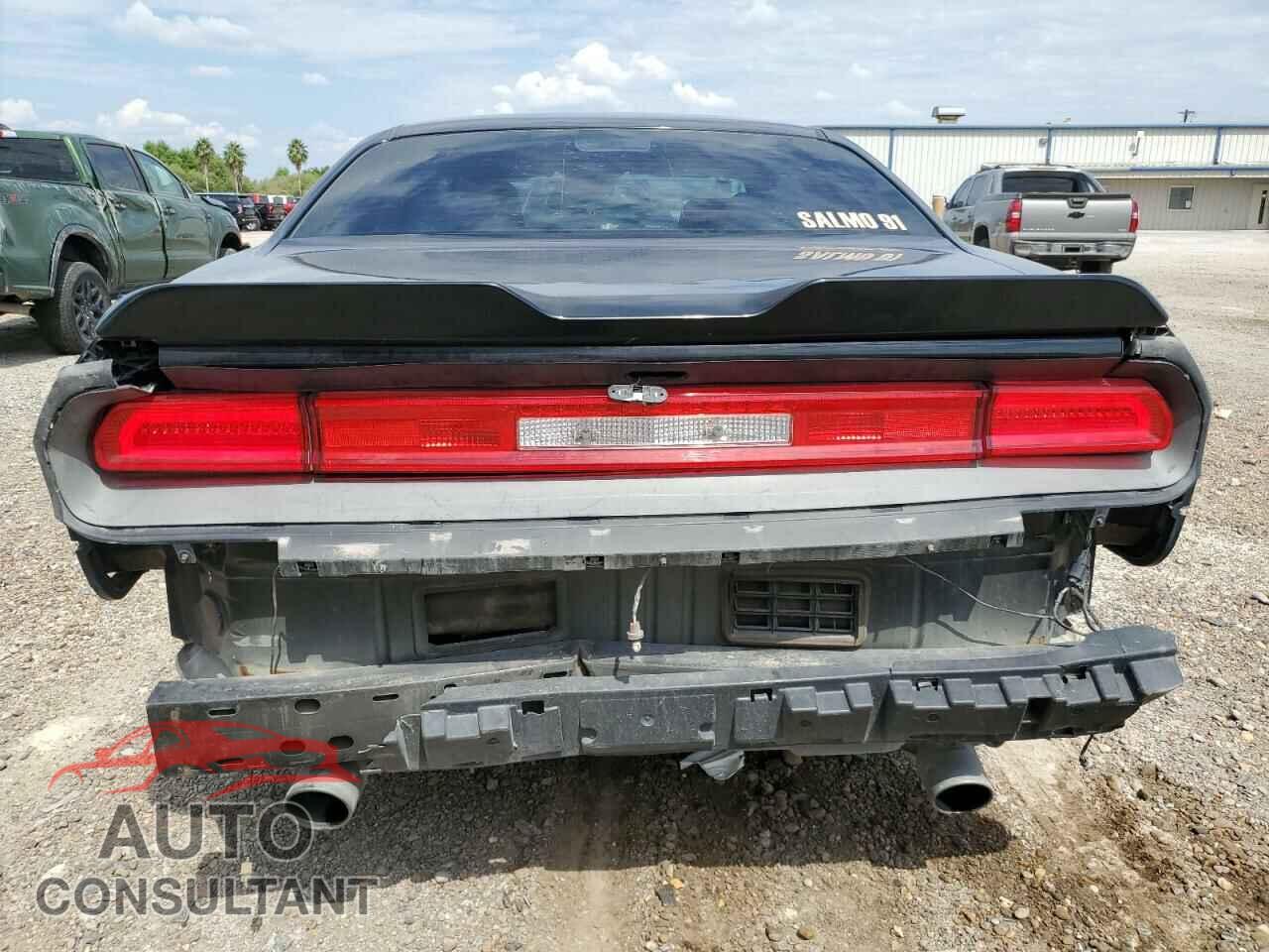 DODGE CHALLENGER 2013 - 2C3CDYAG8DH724987