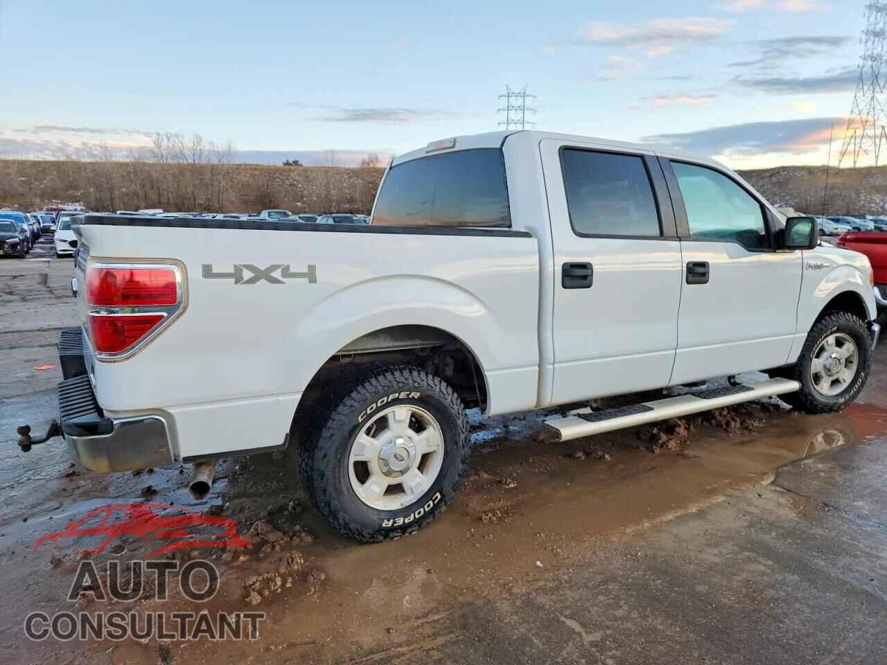 FORD F-150 2013 - 1FTFW1EF5DFD04360