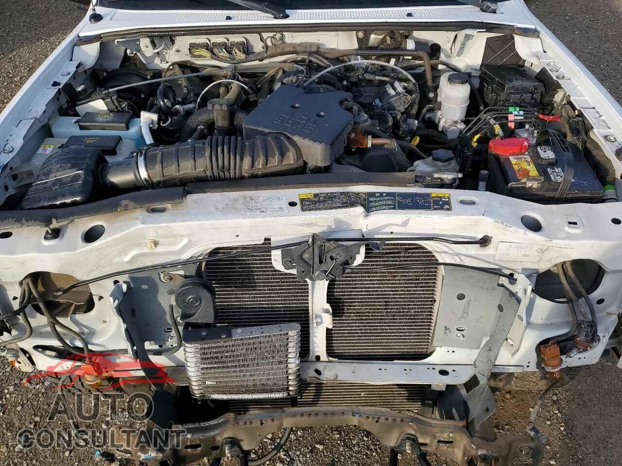 FORD RANGER 2011 - 1FTLR4FE1BPA66385