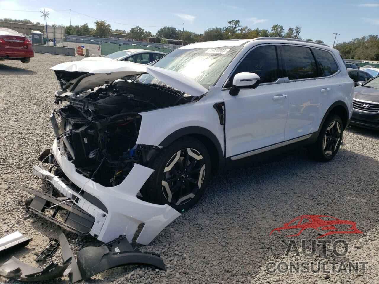 KIA TELLURIDE 2024 - 5XYP3DGC1RG442032