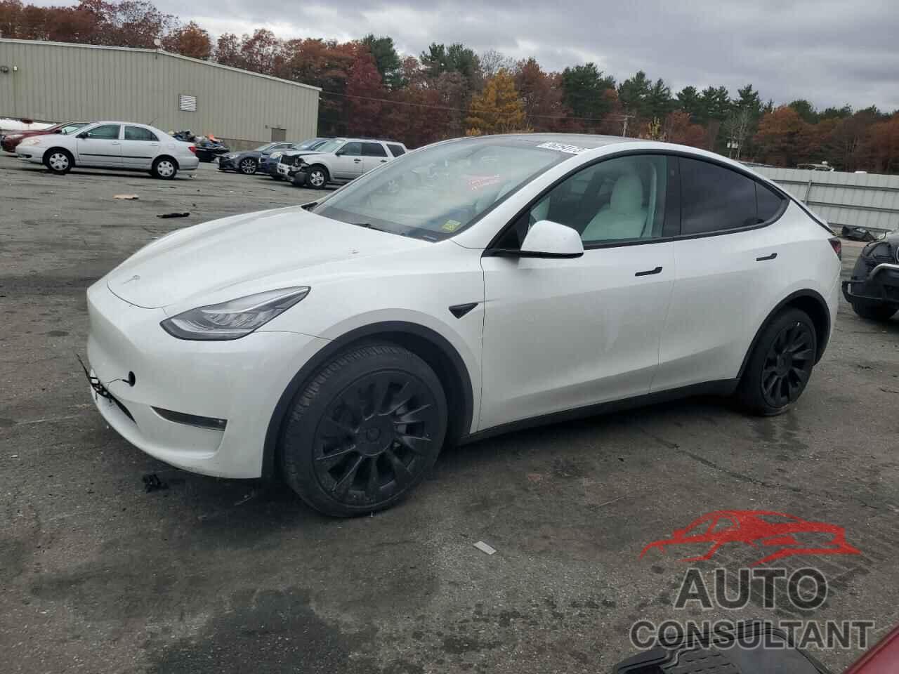 TESLA MODEL Y 2023 - 7SAYGDEE3PF616171