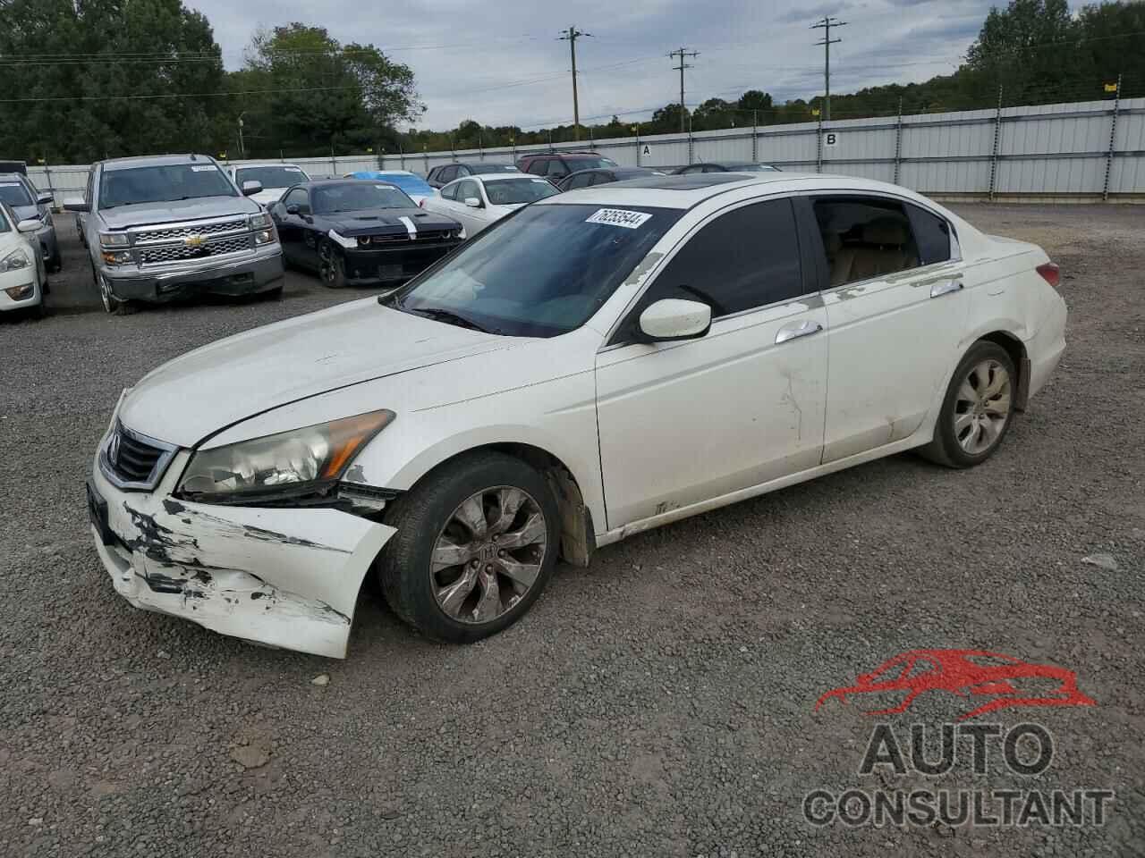 HONDA ACCORD 2010 - 5KBCP3F8XAB013849