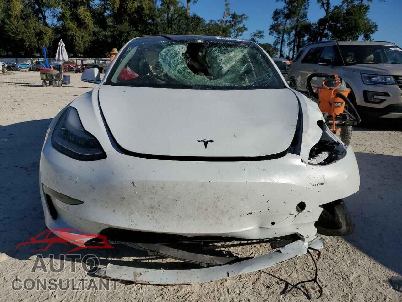 TESLA MODEL 3 2018 - 5YJ3E1EA1JF108782