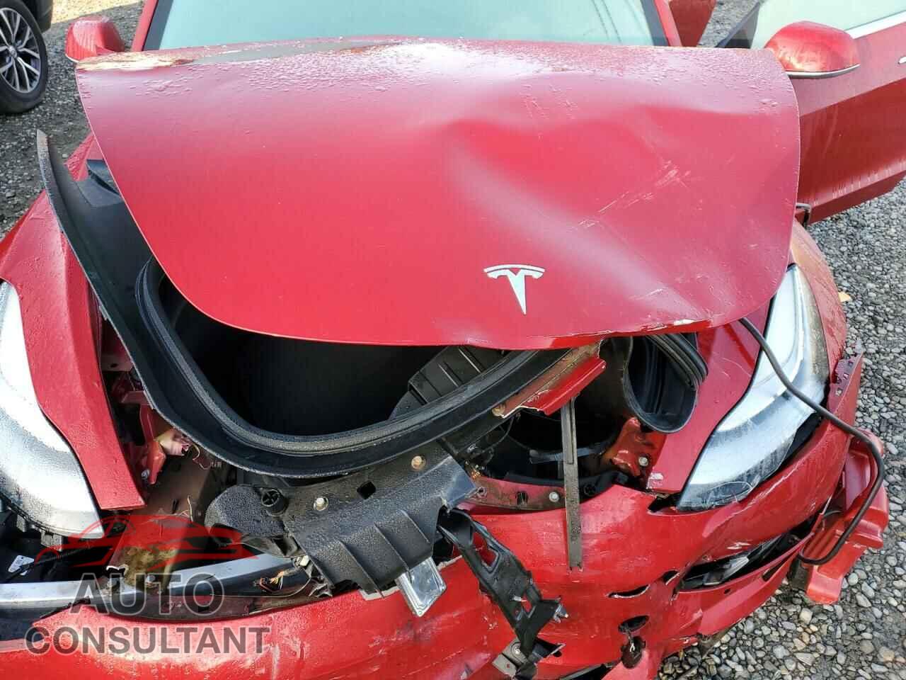 TESLA MODEL 3 2019 - 5YJ3E1EA8KF313775